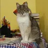 Отзыв от Лидия Масленникова